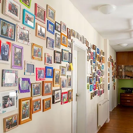 Lotte - The Backpackers Hotel