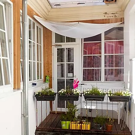 Lotte - The Backpackers Hotel